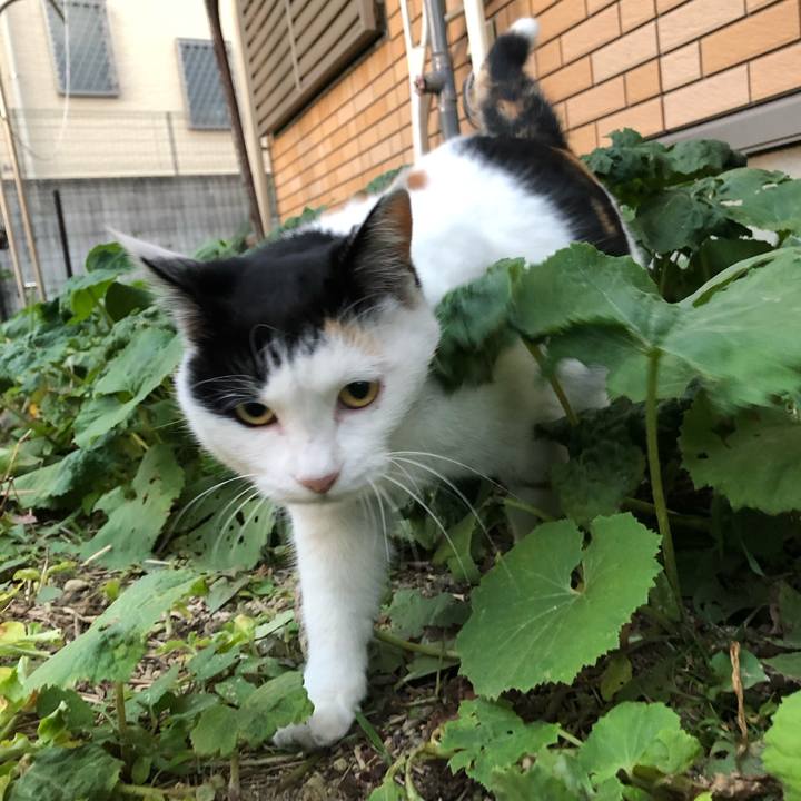 0b41d8c0 0974 4210 877a 46031df33c17 1606774400561