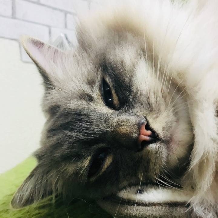 0b41fd15 176b 4119 a21f 2919b8e6a269 1517995121271