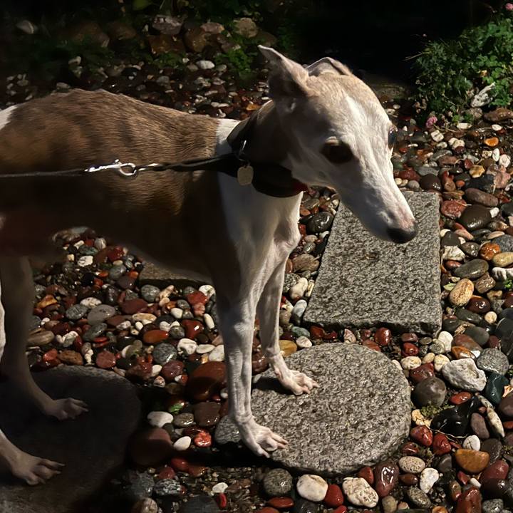 0b428655 4c47 400d b6f1 73f8cc31922a 1760777670853