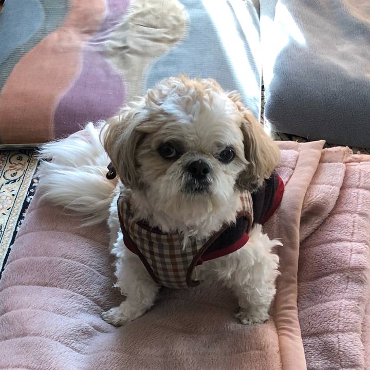 0b42998f a886 443b ac64 86fcb82d0566 1520373127147