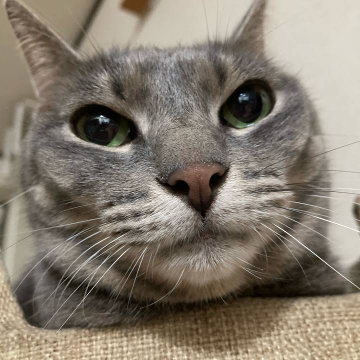 0b42c07b 8091 406c 9e34 639c3f63a524 1661356534928