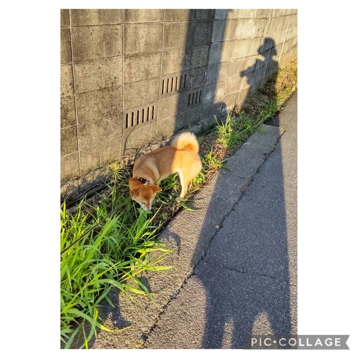 0b42cb8d a8ae 4052 8b2a 626711c0b89b 1717798891045