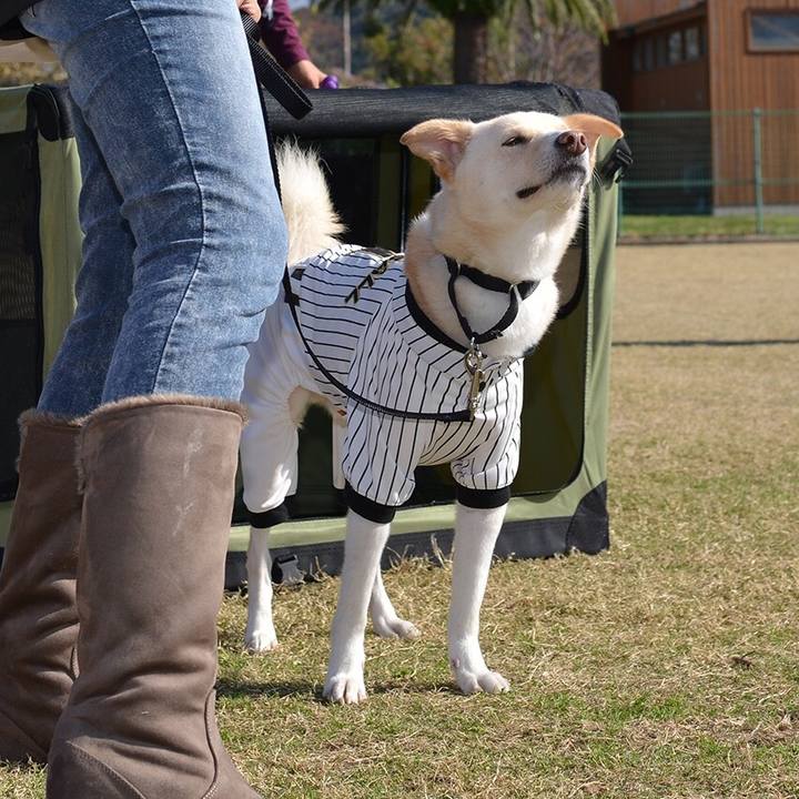 0b42d1bd a819 4c46 a46f fa937d6ee0c6 1542557453131