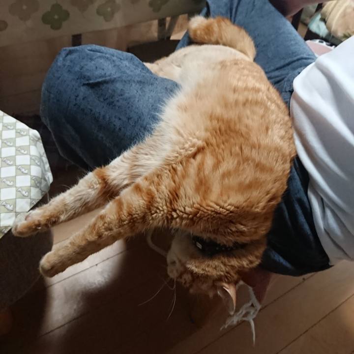 0b430924 0c55 4799 85ca 5c1d8281ca56 1656453404562