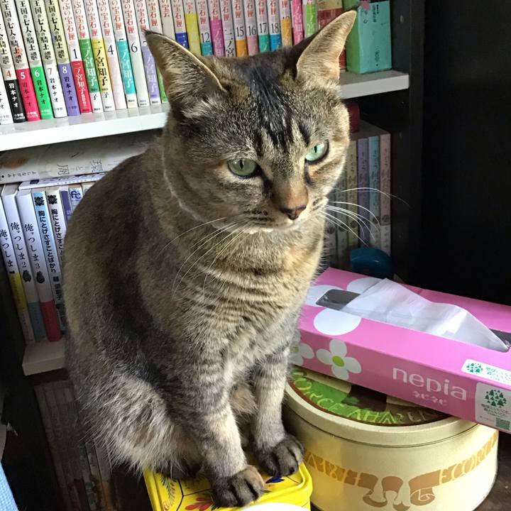 0b43487e 8196 4343 82cc 44a714c43bd0 1714882920351