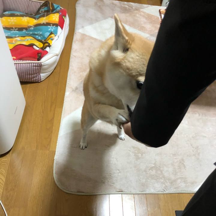 0b436360 80fc 45f8 8bb5 ece6f84b0674 1580308574271