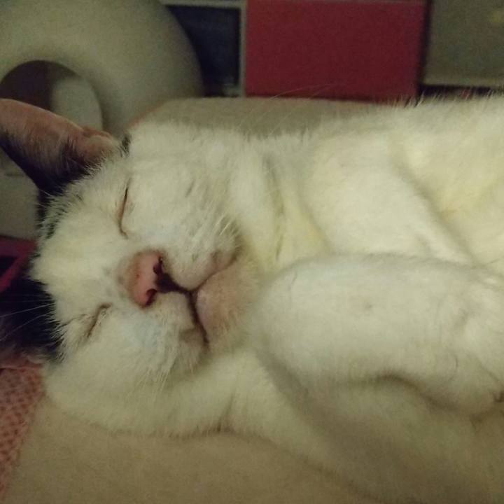 0b4399ff 97c6 43c8 8535 328814cdf41a 1656071713929