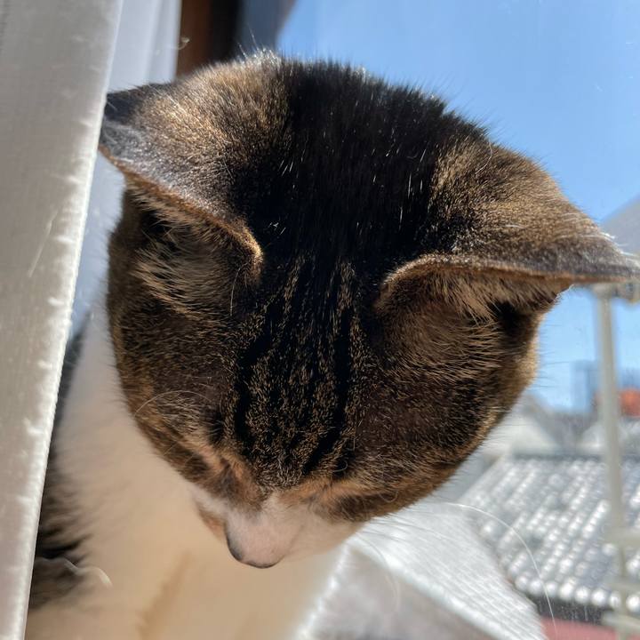 0b43d3f0 ee49 448b 90ec fe370209e0ec 1649816120864