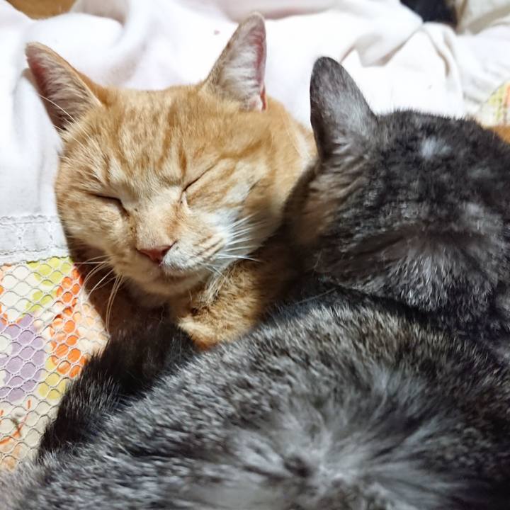 0b43d511 1ab2 4a6f a9fd 8b348e37aa87 1577622187205