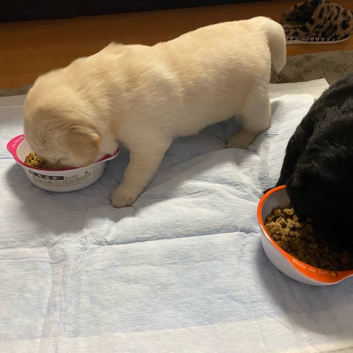 0b43f714 bff7 476b a647 e77c8c0783a6 1614669568702