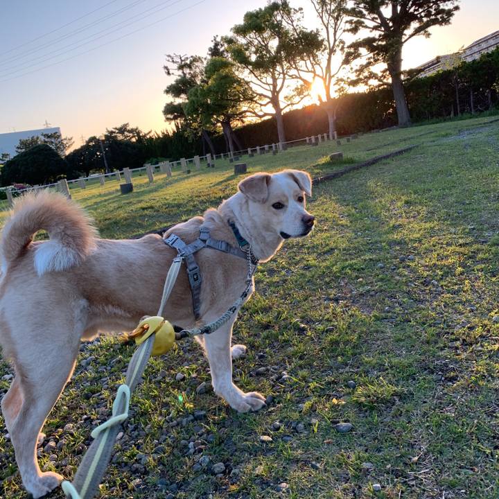 0b44280c fe98 4d3f 99b3 9544563dd477 1556360678665