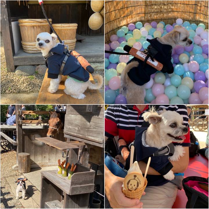 0b443941 6bbc 43bc a565 6d08734a1a03 1570499301737