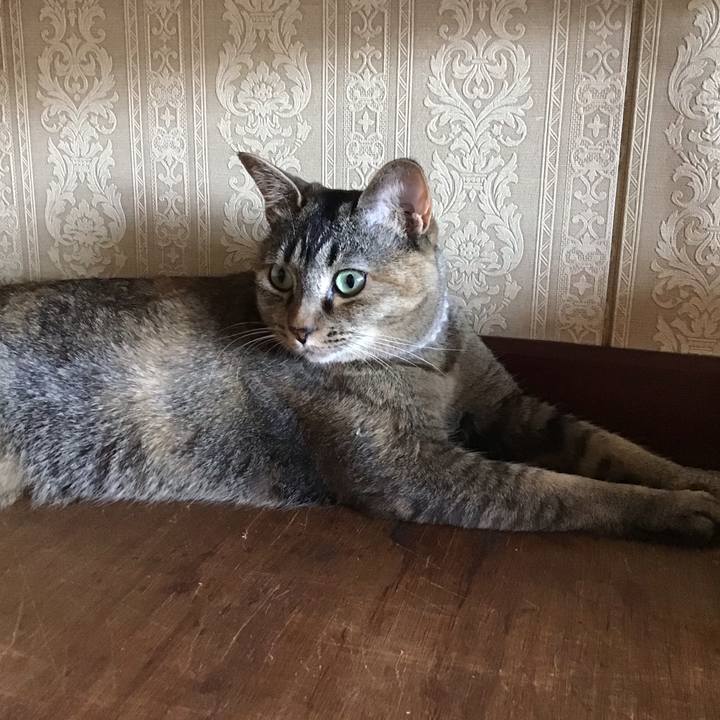 0b449cd8 186c 4d8a b1f5 01ff26cc9533 1656410179869