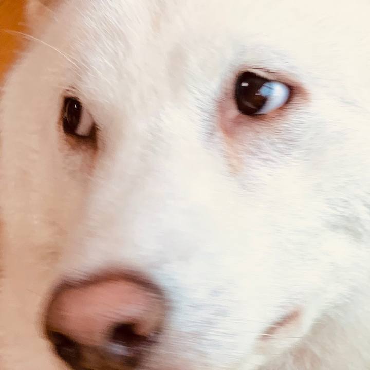 0b44a156 775f 4051 8691 b7332b6a2c3e 1595365773540