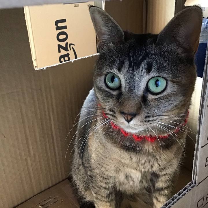 0b44d4fd acc6 4699 9359 b8daa62b3262 1613798632880