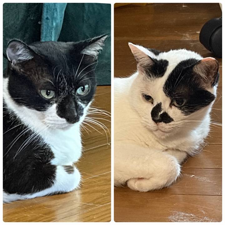 0b451d1d 1fb8 47ae 87d9 a54888f3ccb8 1784773264007