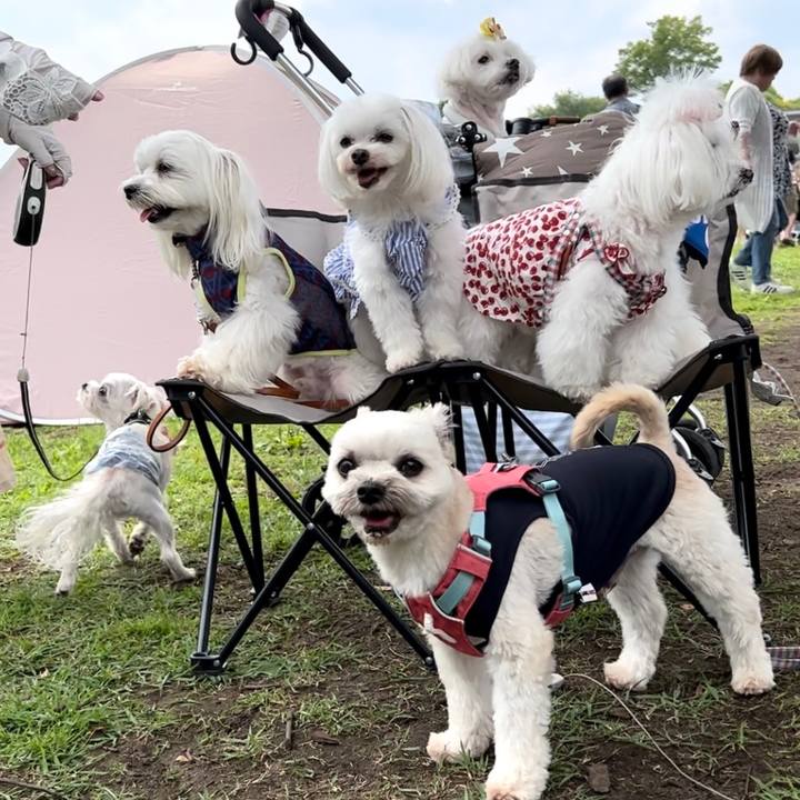 0b458a5d 8ff9 4f4d 839e a008af017f1d 1687647601057