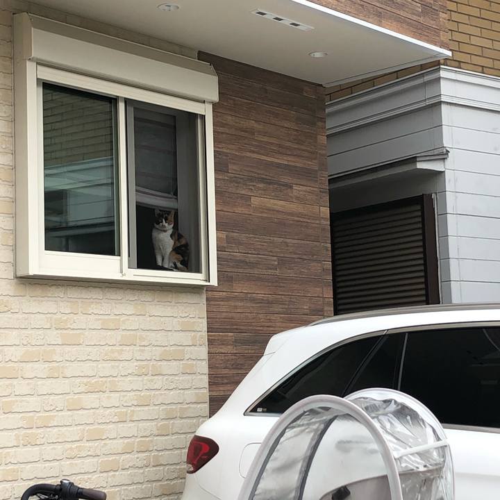 0b45d7e4 2b04 4fcd ab59 5037e3c52602 1617093259716