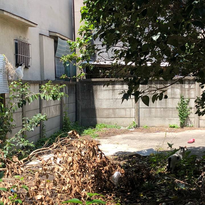 0b45e6b2 2555 4935 9979 5e32bdf00a60 1525418521678