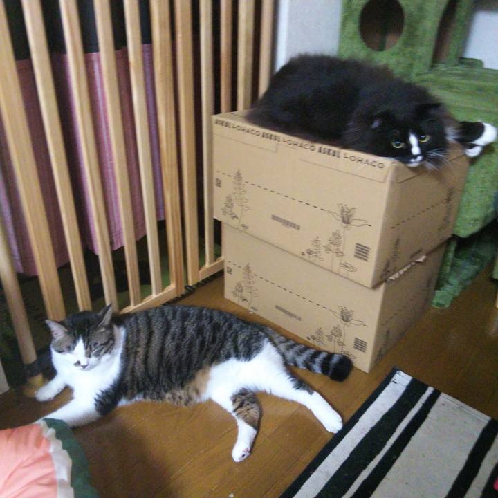 0b4615b8 8ec4 45cc 9266 a3b288cc4978 1664142923108