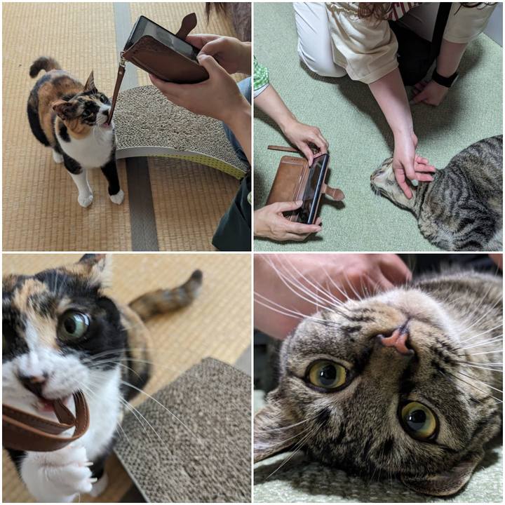 0b46196b 6695 433e 84f6 15c7a9ccc1d9 1718599128285