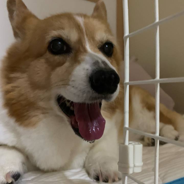 0b467224 0399 4e13 944d 249345eec5f7 1719572950745