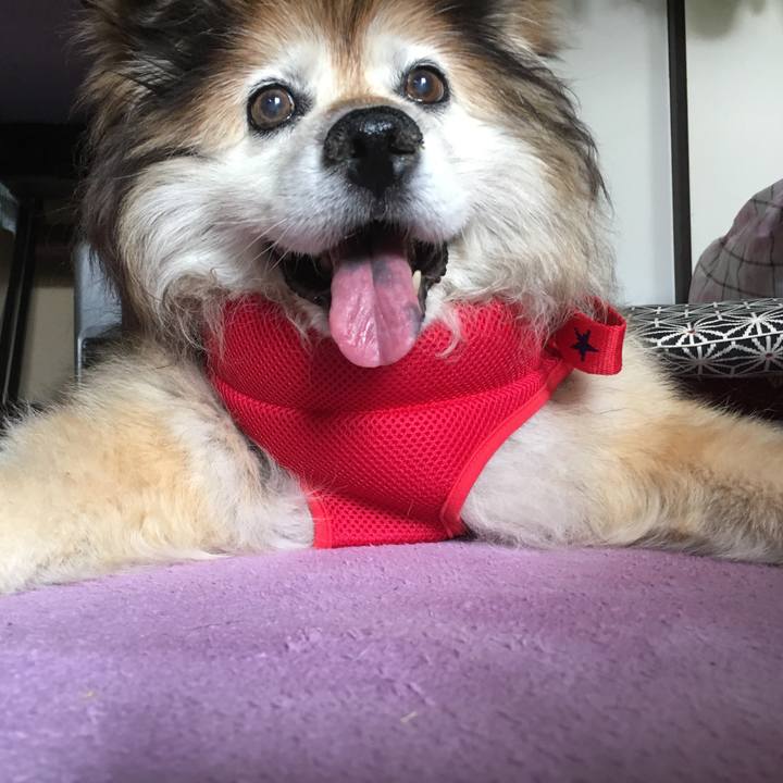 0b467ea9 1a06 439c a505 26c403a0e731 1559344945545