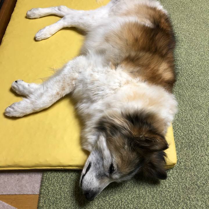 0b46dab2 17eb 4728 81d8 3d1a6524f252 1552475012972