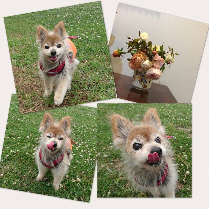 0b46f78f 20f1 4853 9498 06be5613a406 1514969497867