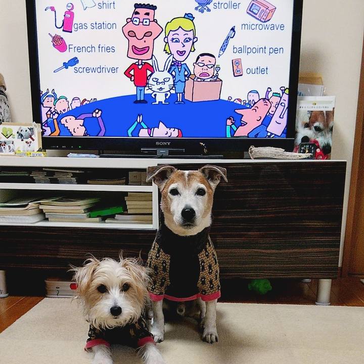 0b46ffcd f537 4aec baac f34dbfa1f52f 1578608258013