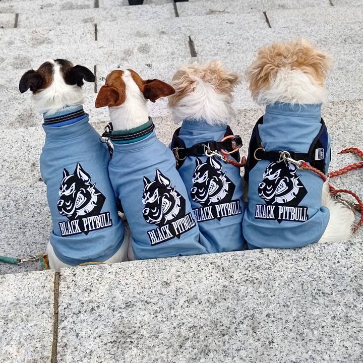 0b470f46 ba5b 4d94 83eb f1d8528b3504 1697375850794