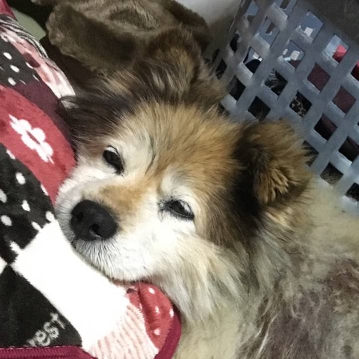 0b471eb9 e376 4231 a57c 638ceafa6403 1615952979894