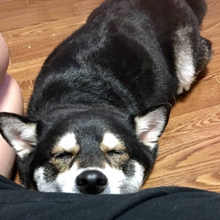 0b47214f 0a20 4480 93c3 7edc4a411f4a 1539059011799