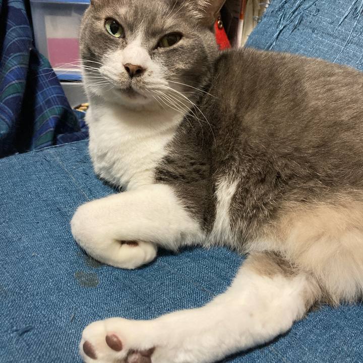 0b472ba0 d188 40cc 98e7 2582df9c5725 1647522327779