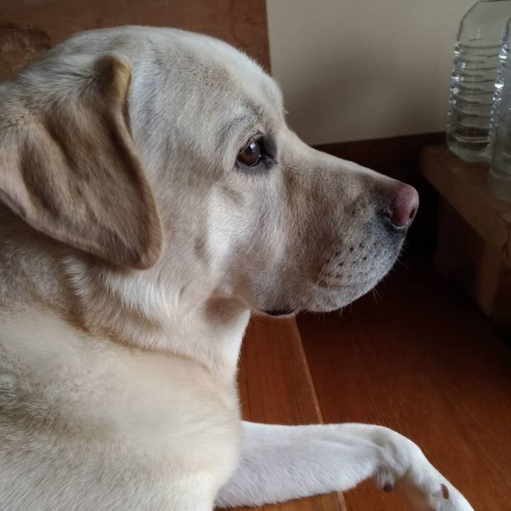 0b474591 083a 47eb a687 a0d616a39929 1624593111105