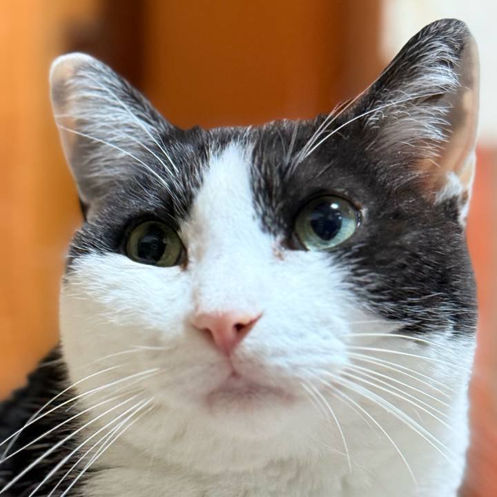 0b47490d 8dd5 4881 99c3 167d01627a06 1746498169350