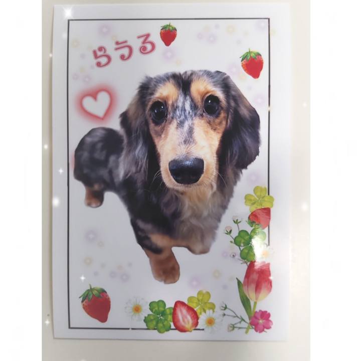 0b475d26 9825 45a2 817f ab4a7ee6ff9d 1708238778662