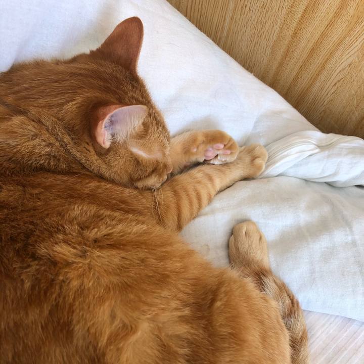 0b477555 03ee 4845 9c13 5e33197068b3 1582938520337