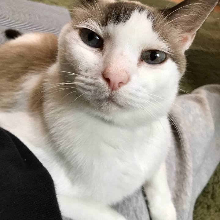 0b477b41 7b10 45df b2f7 bb25c5092219 1602682280734