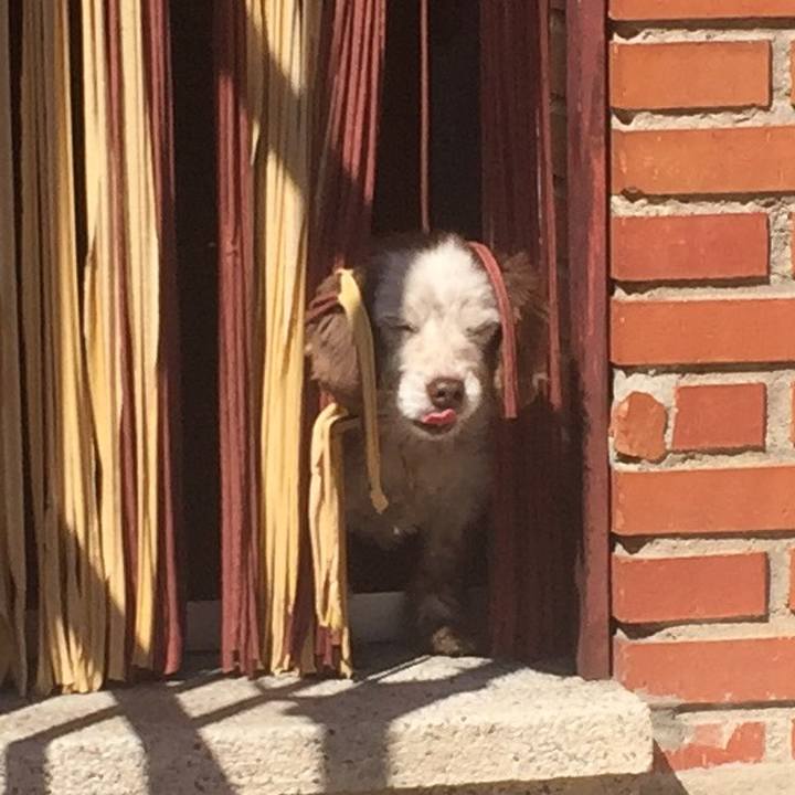 0b47cd11 5f42 4864 8ab7 218a31c25dae 1525532309882