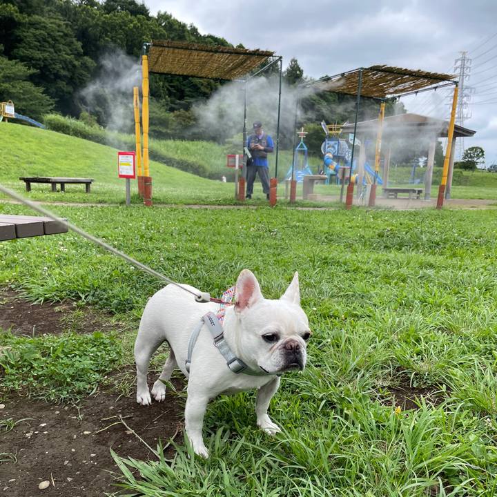 0b47ee42 c659 43cc b7ae bcfd9f074df1 1752284883804