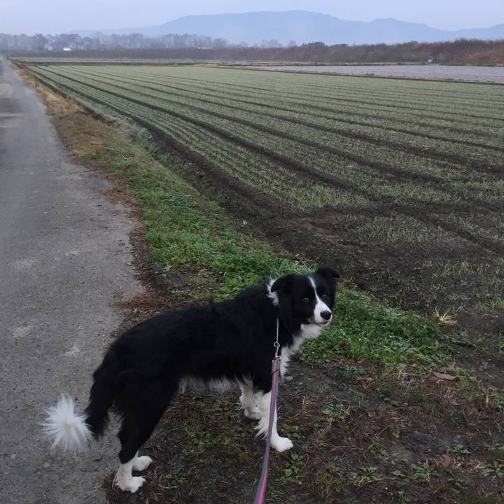 0b480091 81c0 475d a84b fd7694dcaad8 1575932420098