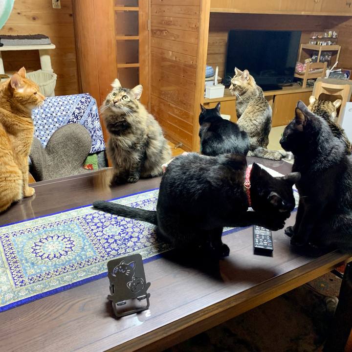 0b483fc1 7d94 4c6c 9652 cc9a298601db 1665405093638