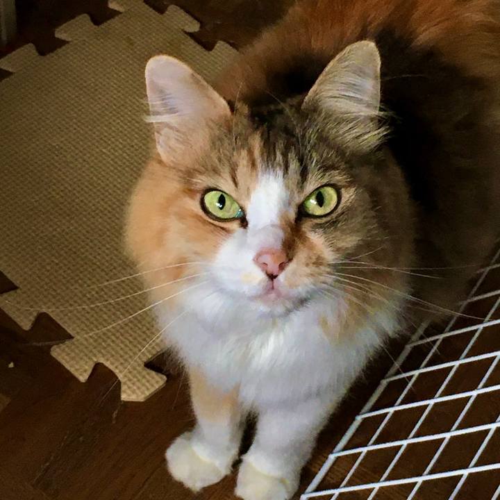 0b48b893 6157 46d2 a143 b5d6d51a495c 1630636980452