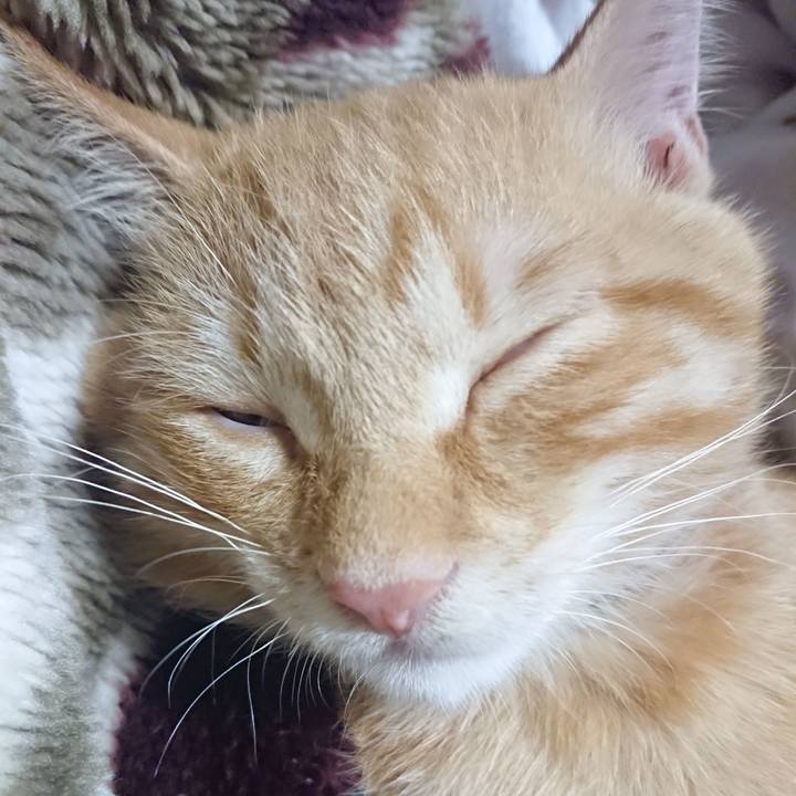 0b48bf24 17ca 4ab8 a907 d8a0cfecfcf5 1633694179491