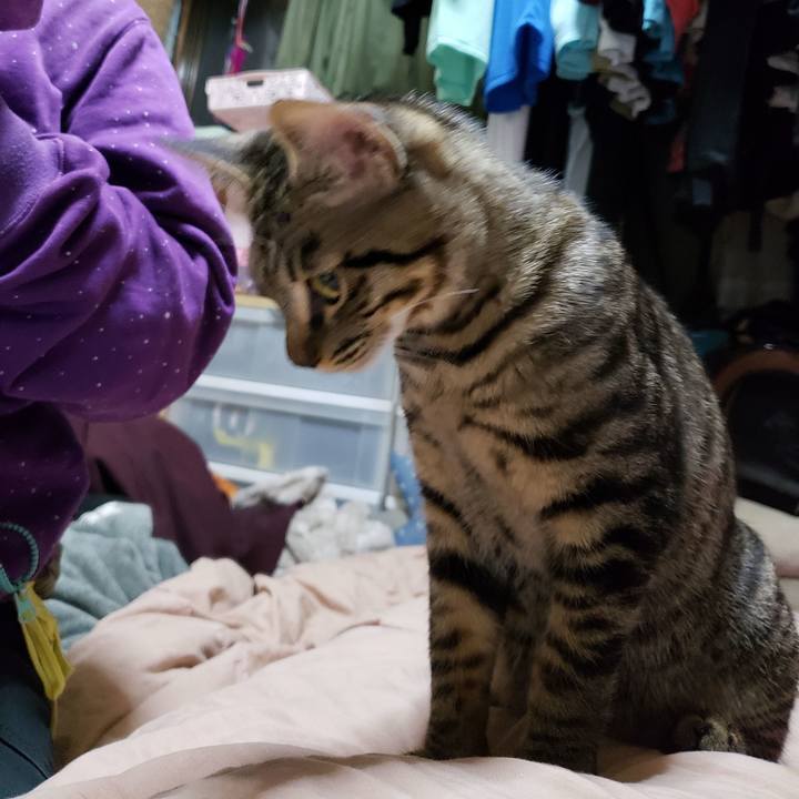 0b48d0b8 16f5 401a bb96 22dab101b62a 1544079520581