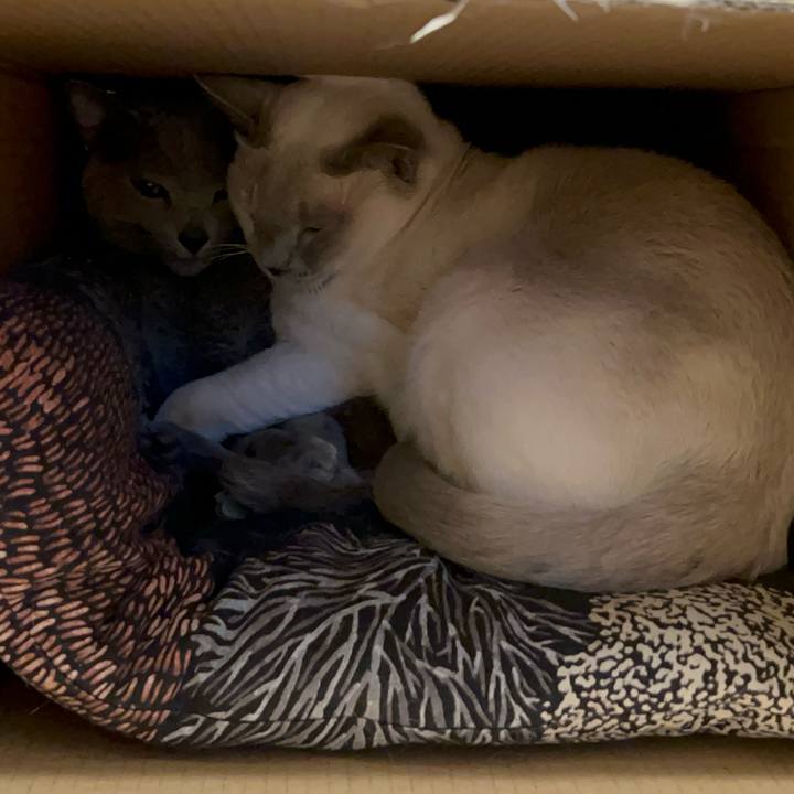 0b48d5c2 c346 4bb5 935c 9ed789afb359 1741513088387