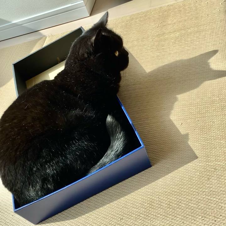 0b4913d3 d839 4858 ae9d 35483aad6da3 1648186041255