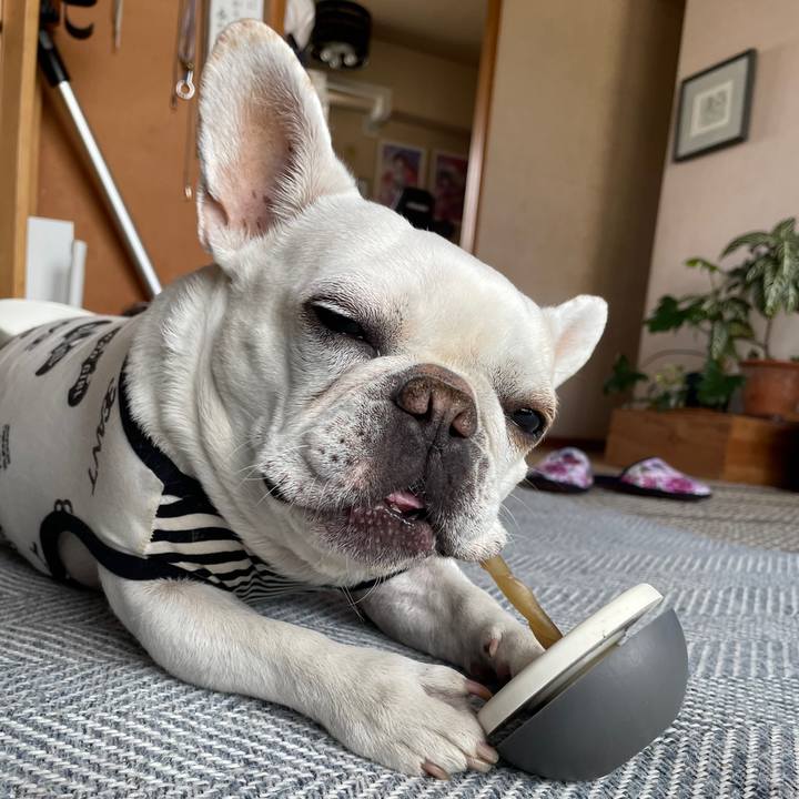 0b494545 d7b2 4983 8782 51c822cf9121 1745017440856