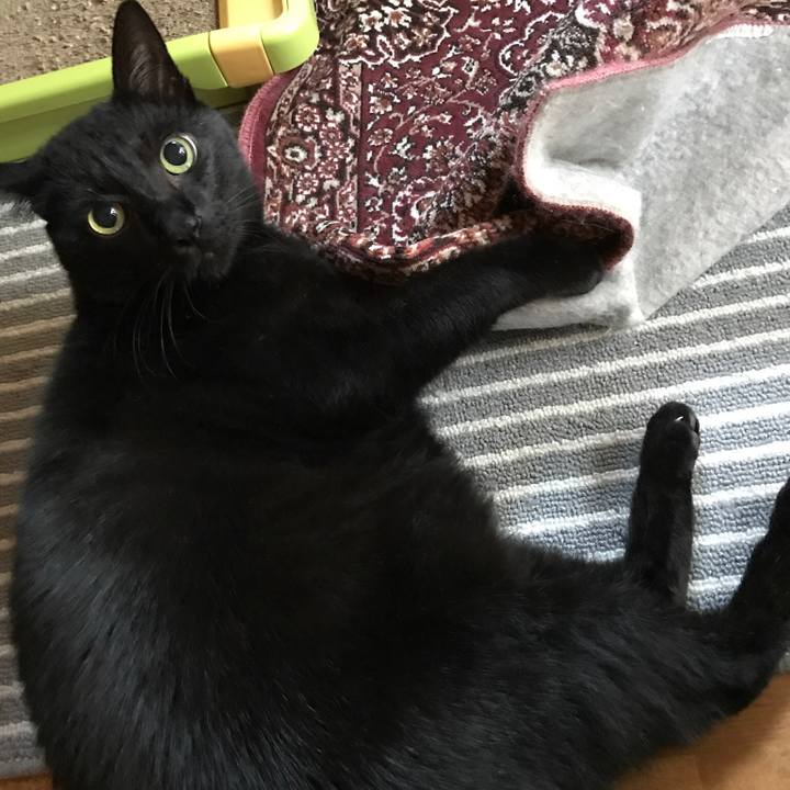 0b497775 82b3 4bb7 9083 a07a75a7cd78 1509930735283